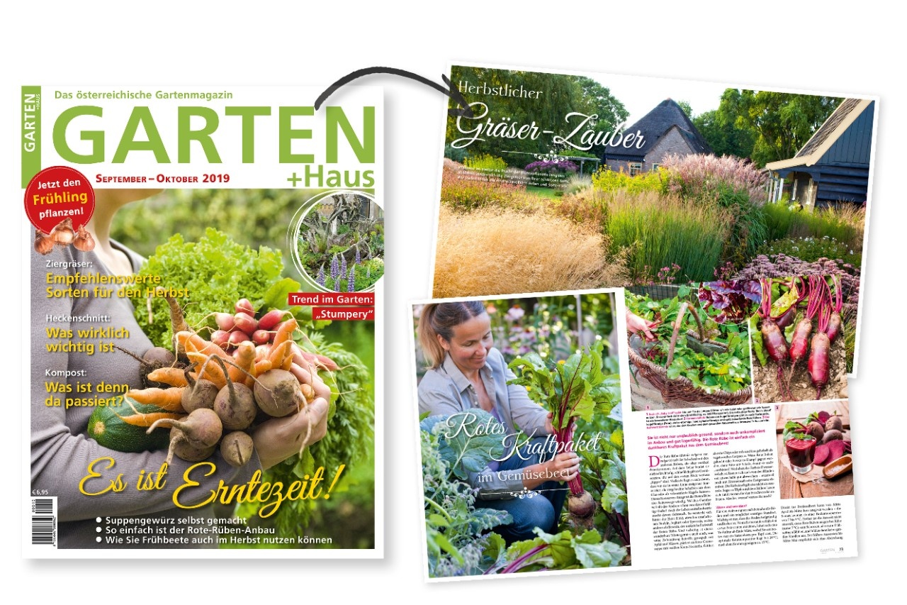 GARTEN+HAUS SeptemberOktober 2019 Das sind die Themen